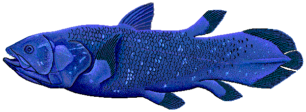 Coelacanth art by Robbie N. Cada